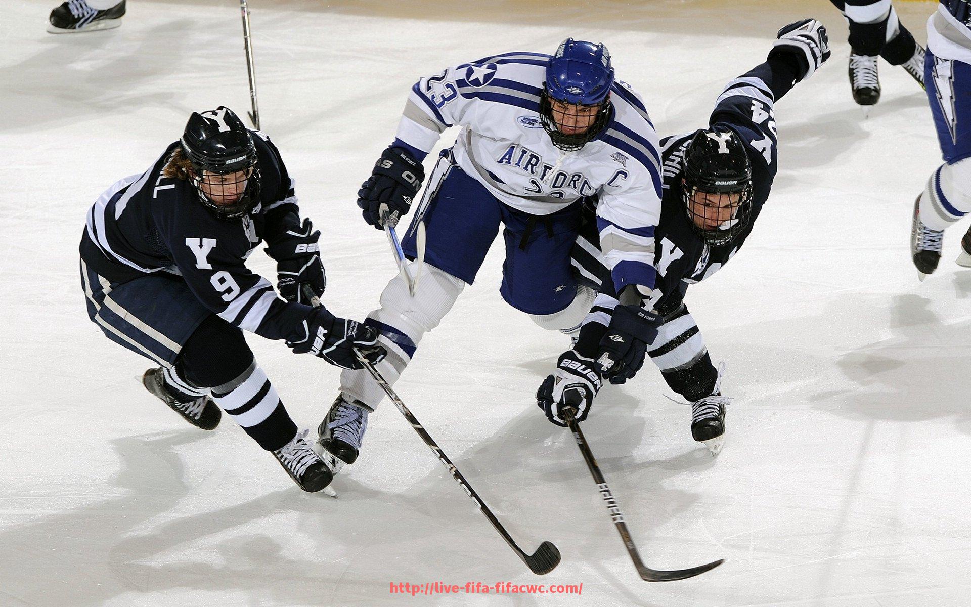 世俱杯直播-背部专用健身器材推荐与使用技巧